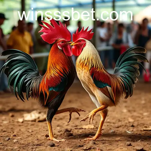 Exploring the Thrilling World of Jogos de Sabong and SSS.BET